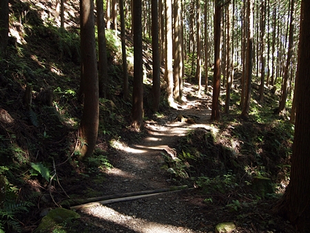 20100828kumano185.jpg