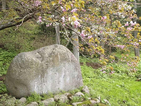 20120503naruko95.JPG