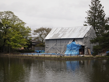 20120503naruko99.JPG