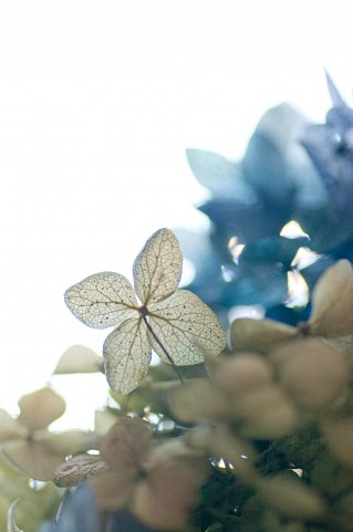 20120519pp11.jpg