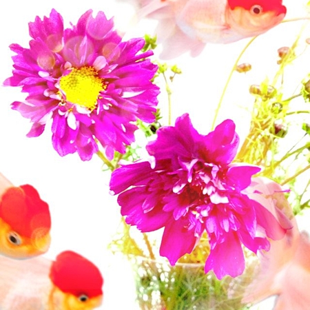 2012102022.jpg