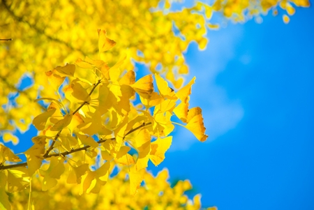 20121118p11.jpg