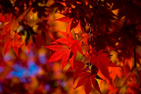 20121122p11.jpg