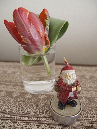 20121209hana11.JPG