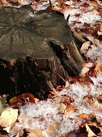 20121229p11.jpg