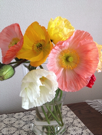 20130203p11.jpg