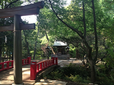 20130515p1010.jpg