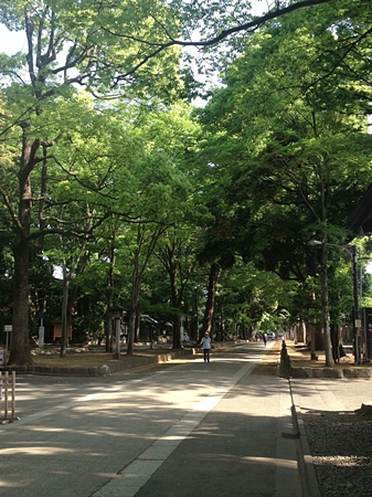 20130515p11.jpg