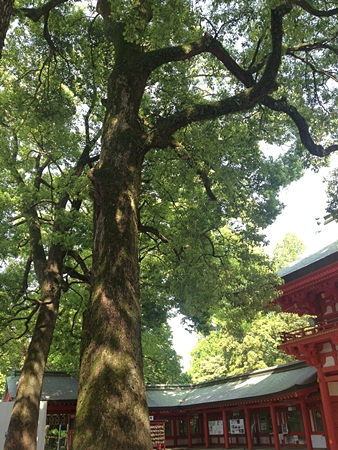 20130515p55.jpg