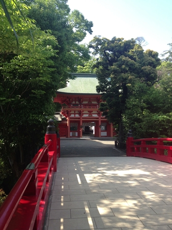 20130515p99.jpg