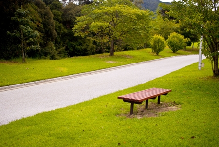 20130524p11.jpg