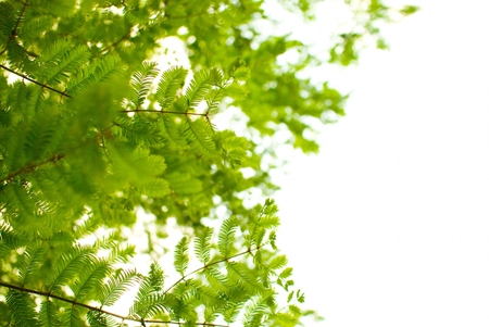 20130526p22.jpg