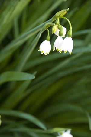 20130531p11.jpg