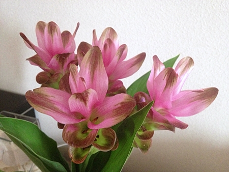 2013070804p11.jpg