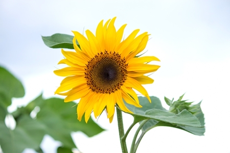 20130722p11.jpg