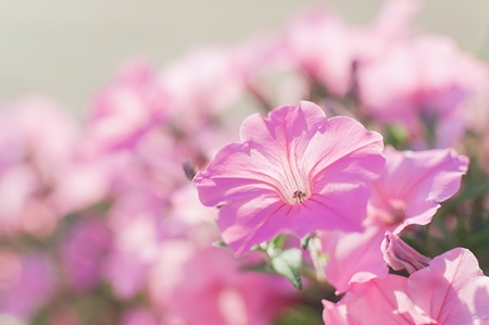 20130722p22.jpg
