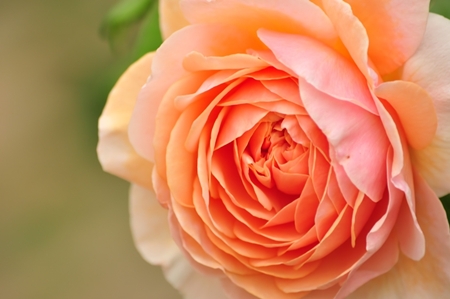 20130724p11.jpg