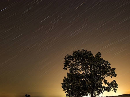 20130821p11.jpg