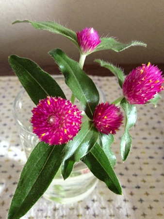 20130825p11.jpg
