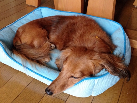 20131003p55.jpg