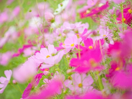 20131019p22.jpg
