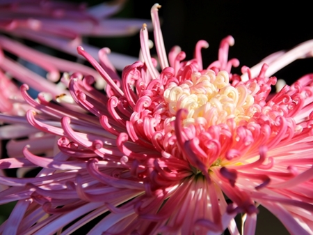 20131020p22.jpg