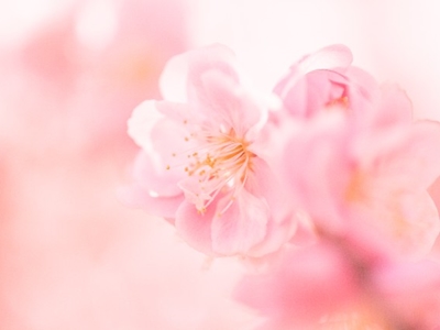 20140228p66.jpg